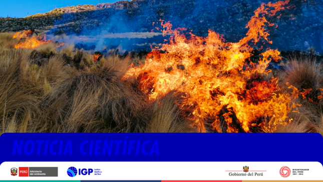 NOTICIA CIENTÍFICA: En los últimos 20 años se han incrementado los incendios forestales en el Perú