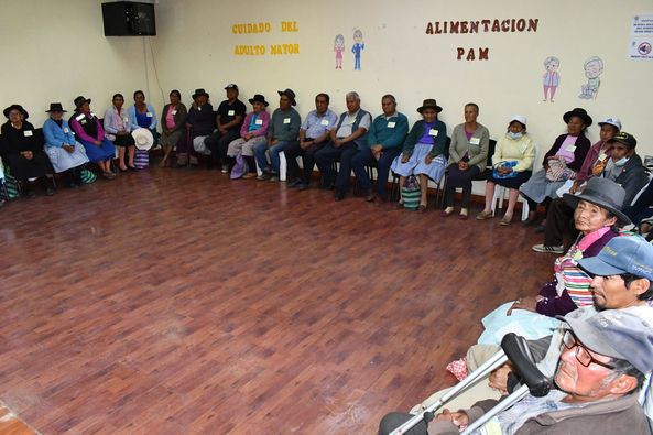 VIDA SALUDABLE Y CUIDADO ADECUADO DEL ADULTO MAYOR