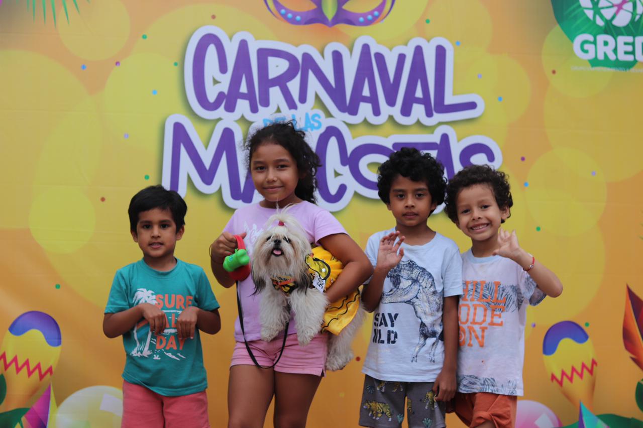 perritos