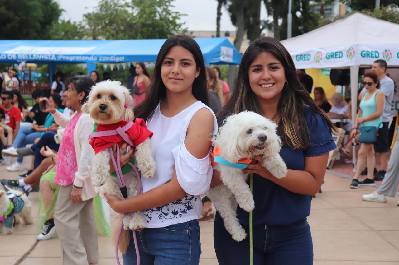 perritos