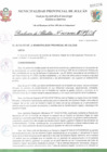 Vista preliminar de documento comite de gobirno digital.pdf