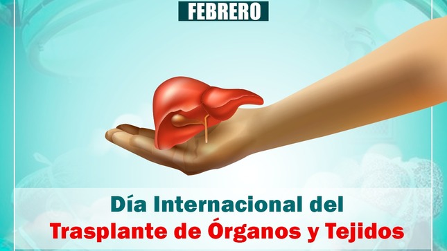 Día Internacional del Transplante de Organos y Tejidos
