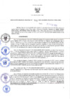 Vista preliminar de documento RES-091-2023-GRDS