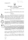 Vista preliminar de documento Resolucion de Gerencia 042