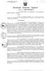 Vista preliminar de documento Resolucion de Gerencia 031