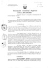 Vista preliminar de documento Resolucion de Gerencia 029