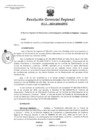 Vista preliminar de documento Resolucion de Gerencia 028