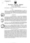 Vista preliminar de documento Resolucion de Gerencia 007