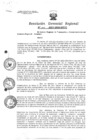 Vista preliminar de documento Resolucion de Gerencia 005