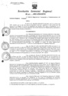 Vista preliminar de documento Resolucion de Gerencia 001