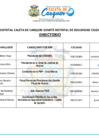 Vista preliminar de documento DIRECTORIO CODISEC 2023 - MDCC.pdf