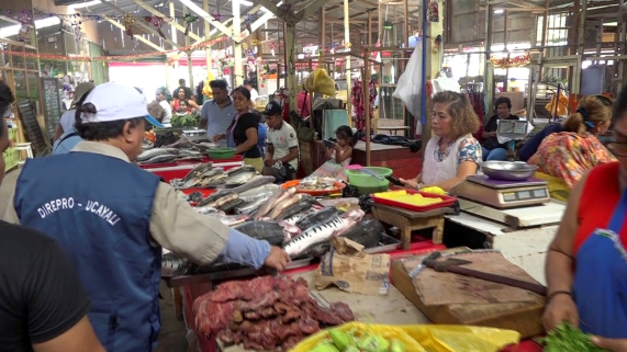 OPERATIVO PESCADO