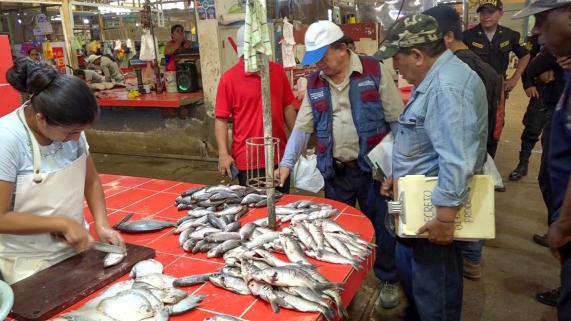 OPERATIVO PESCADO