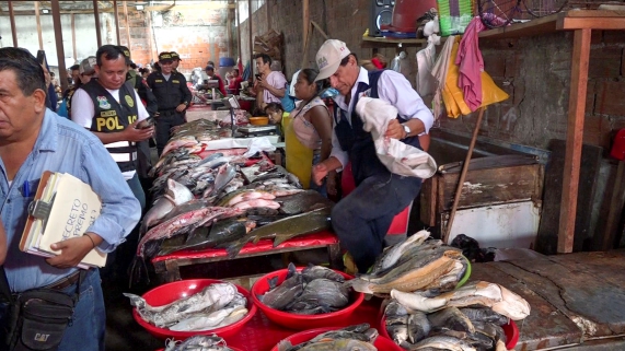 OPERATIVO PESCADO