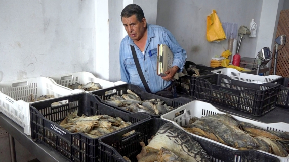 OPERATIVO PESCADO