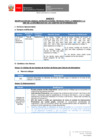 Vista preliminar de documento documento