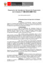 Vista preliminar de documento documento