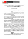 Vista preliminar de documento documento