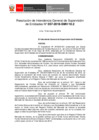 Vista preliminar de documento documento