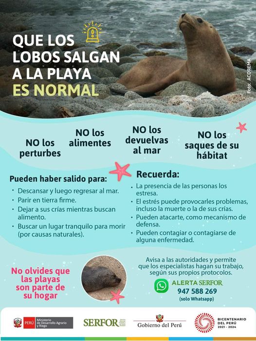 Lobos Marinos.jpg