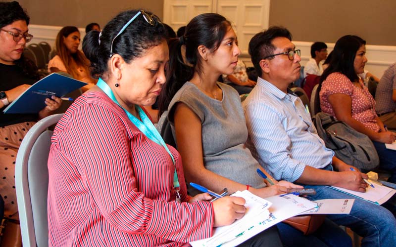 imagen2 de Equipo de salud ambiental lidera primera reunión técnica con gobiernos locales de la Diris Lima Centro