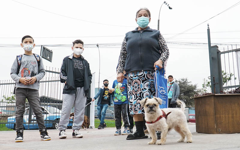 imagen1 de Diris Lima Centro brinda consejos para cuidar a tu mascota en este verano