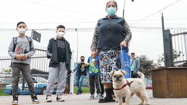 imagen1 de Diris Lima Centro brinda consejos para cuidar a tu mascota en este verano