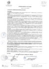 Vista preliminar de documento PLAN DE ACCION DE SEGURIDAD CIUDADANA DEL DISTRITO DE  SACHACA 2021