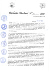 Vista preliminar de documento RD_N°377_202Virtual