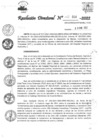 Vista preliminar de documento RD_014_2022