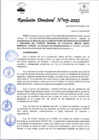 Vista preliminar de documento RD_105_2022  07-04-2022
