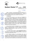 Vista preliminar de documento RD_217_2022  11-07-2022