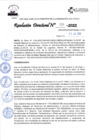 Vista preliminar de documento RD_233_2022  25-07-2022