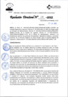 Vista preliminar de documento RD_234_2022  26-07-2022