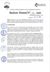 Vista preliminar de documento RD_246_2022  03-08-2022