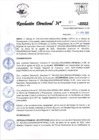 Vista preliminar de documento RD_377_2022  24-11-2022