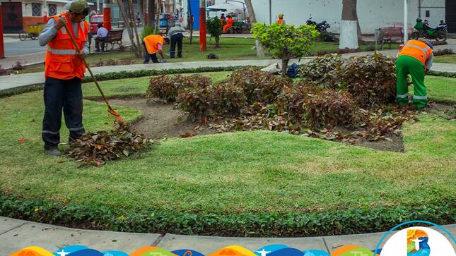 Limpieza de Áreas Verdes - Parques los Próceres 