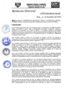 Vista preliminar de documento RD-N-257-2020.pdf