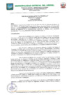 Vista preliminar de documento N° 055-2023-MUDIAR.pdf