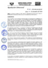Vista preliminar de documento RD-N-267-2020.pdf