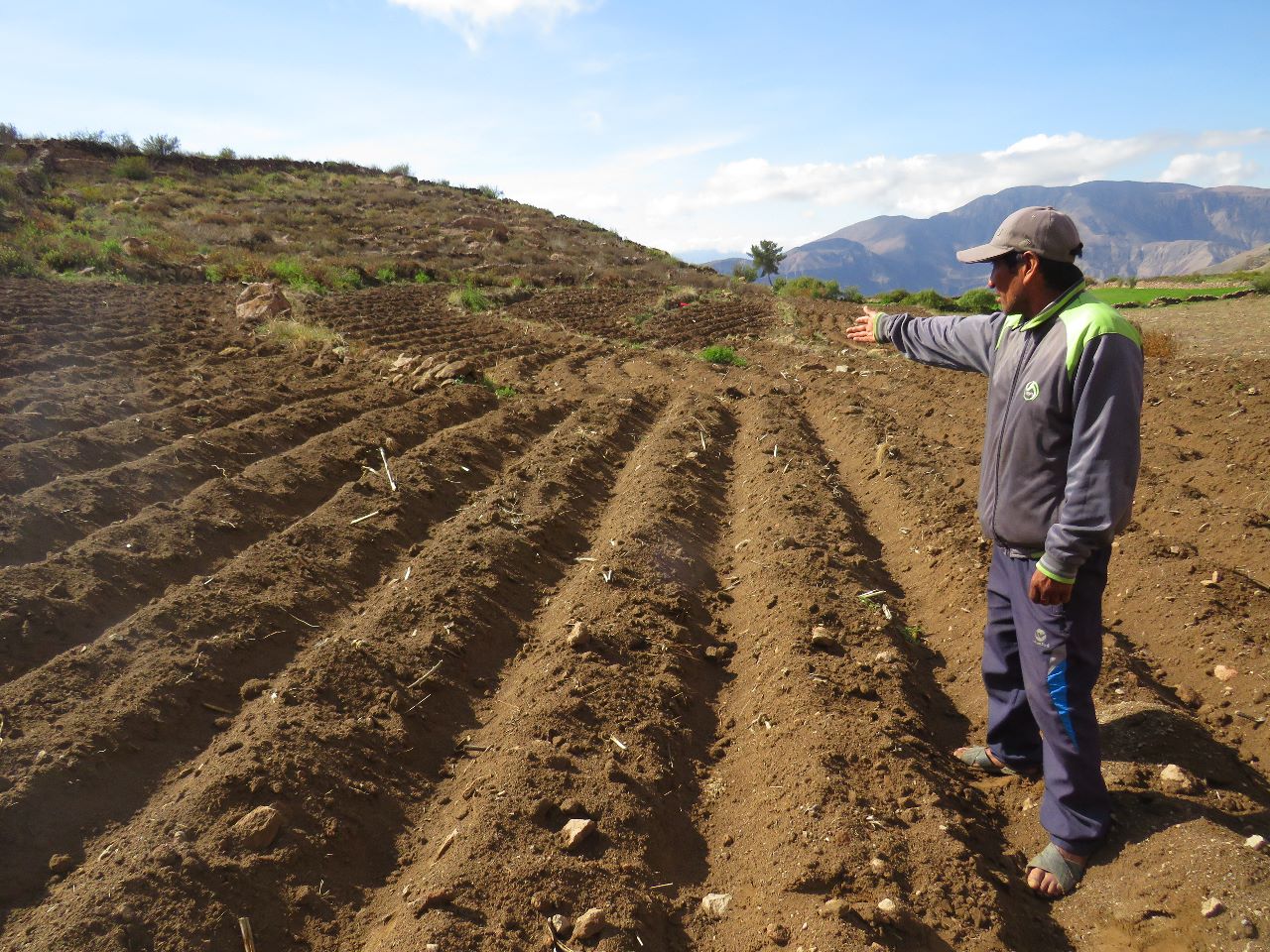 Rehabilitación de Andenes - Tacna