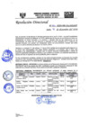 Vista preliminar de documento RD-N-263-2020.pdf
