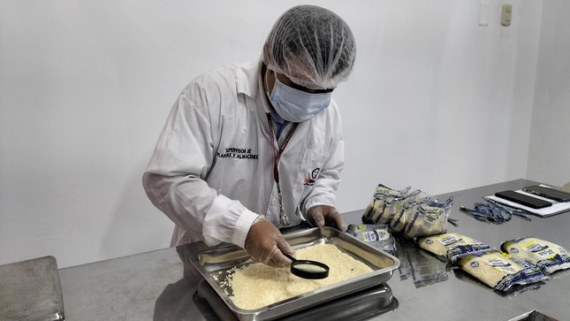 Servicio alimentario escolar