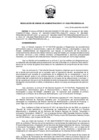 Vista preliminar de documento RUA-011-2022-PROCIENCIA-UA.pdf