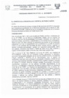 Vista preliminar de documento ORDENANZA.pdf