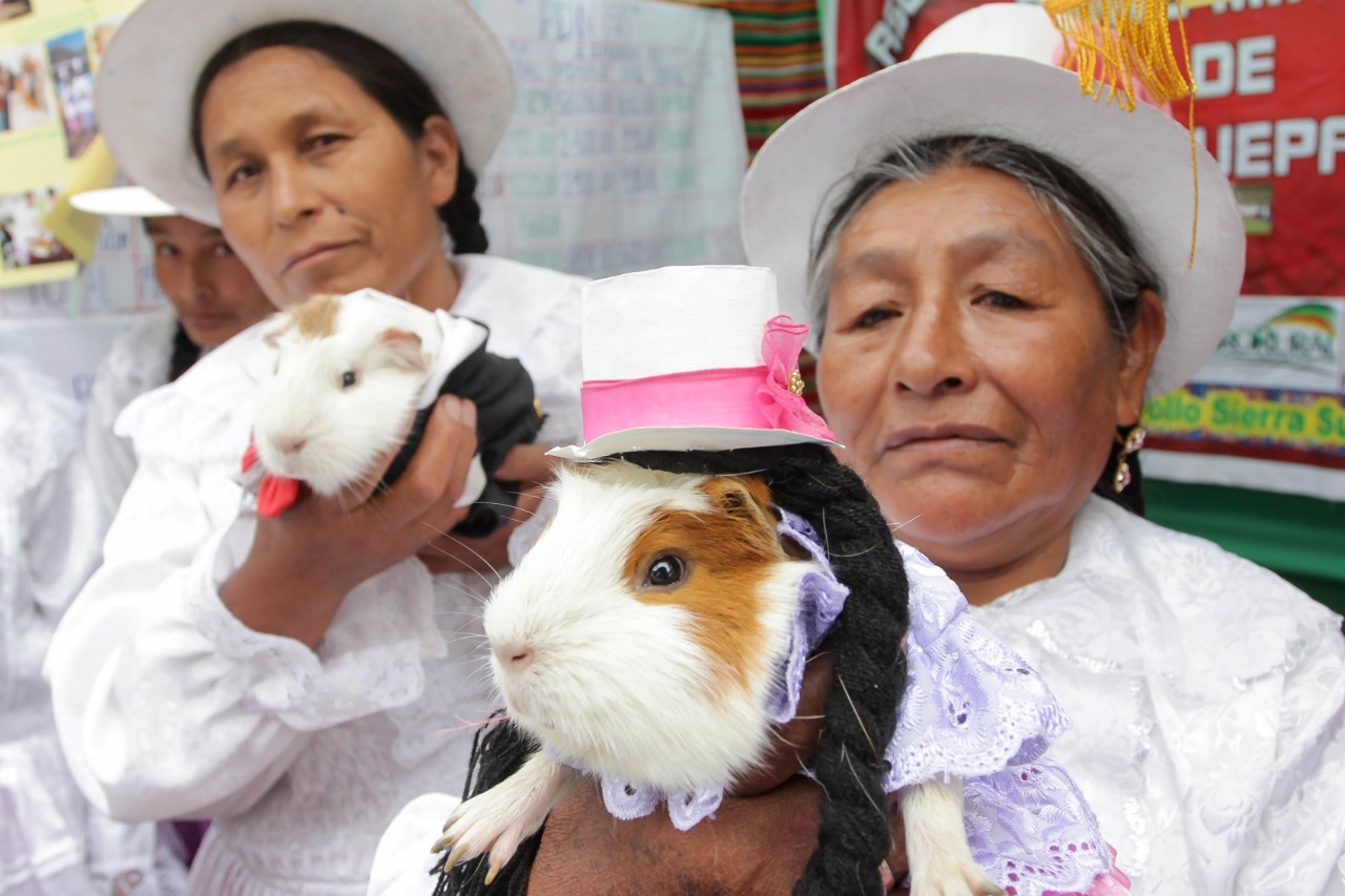 Mujeres productoras de Áncash