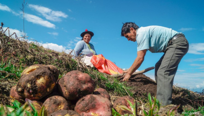 KIT-PUBLICACIONES_01.03.23_Con-Punche-Agro_gob.png