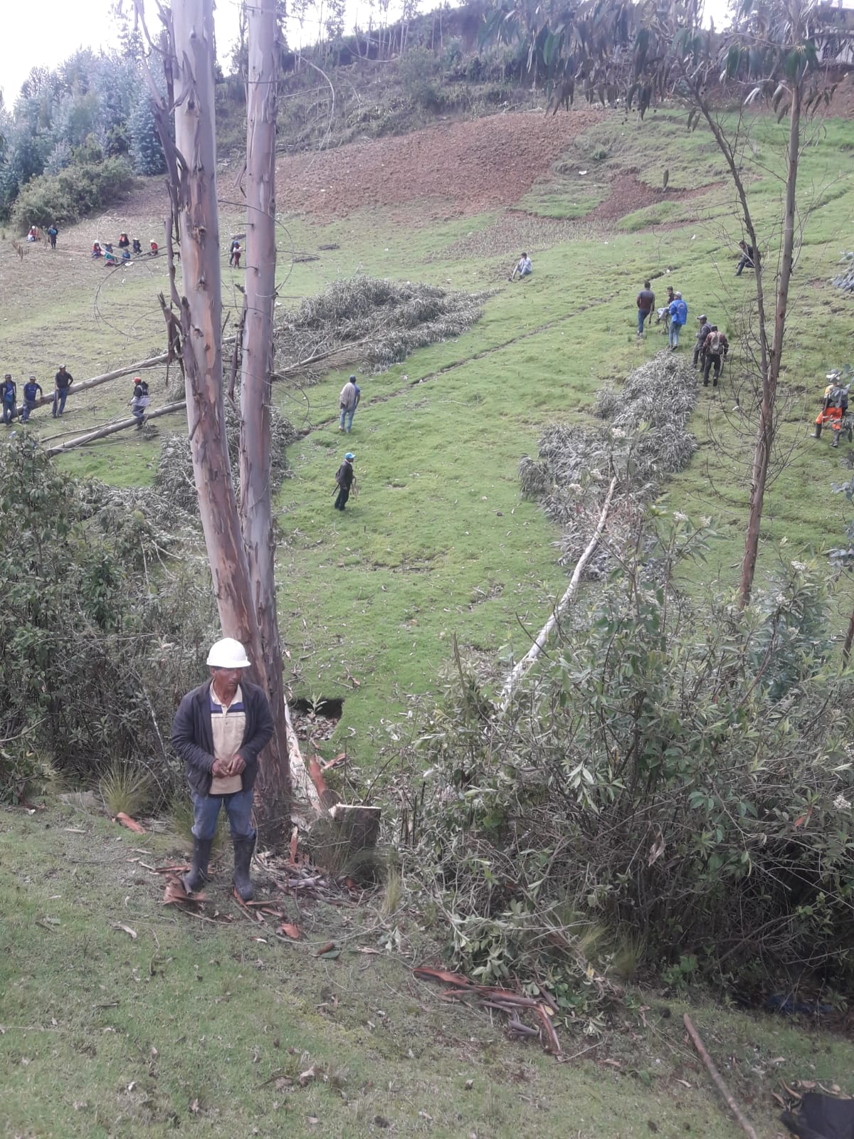 Hacemos de conocimiento que el corte intempestivo del fluido eléctrico se debe al crecimiento de los árboles que representa un problema en el distrito de Chugay.