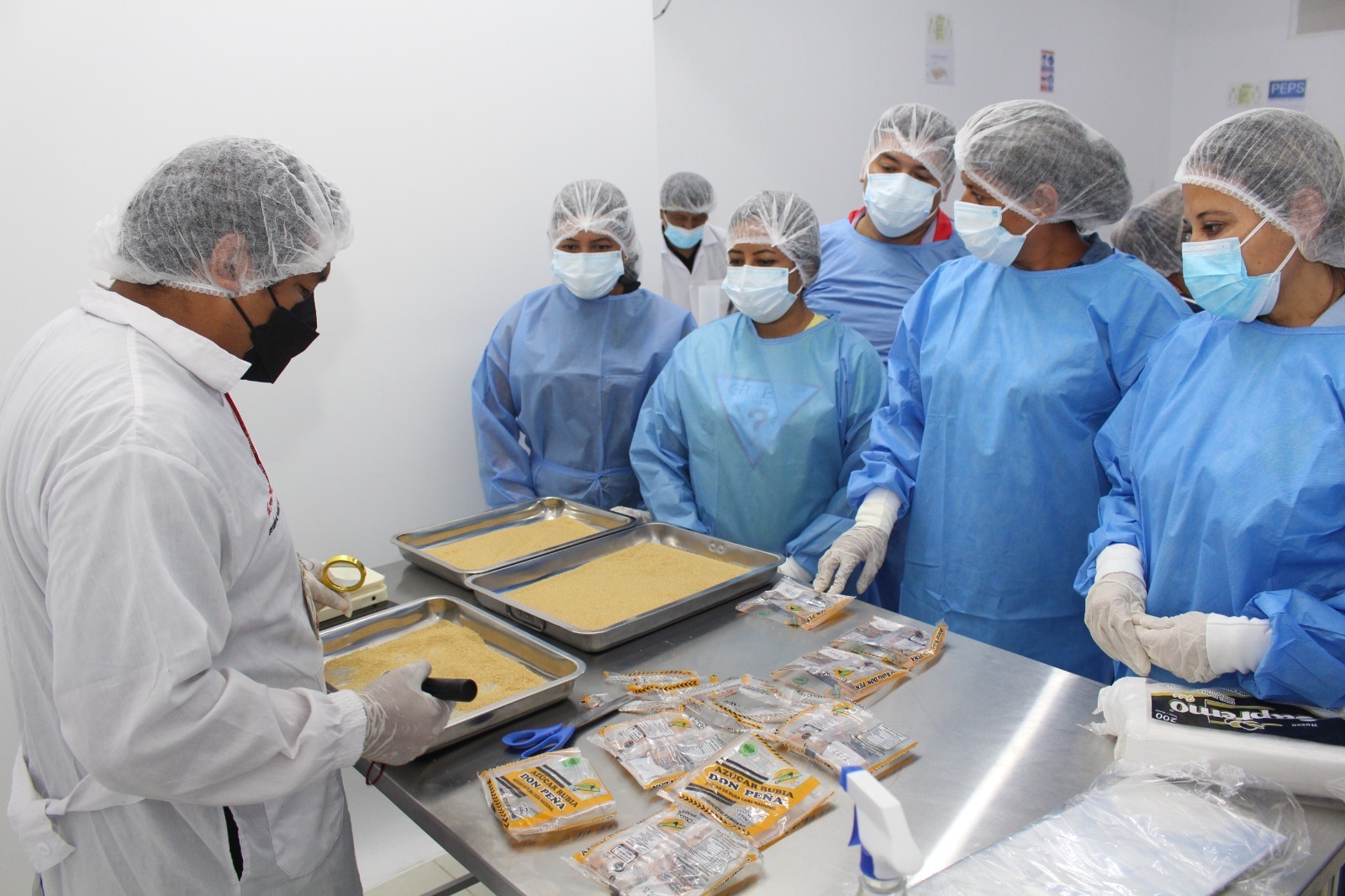 Servicio alimentario escolar