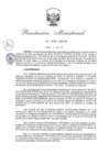Vista preliminar de documento 0295-223-IN